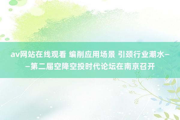 av网站在线观看 编削应用场景 引颈行业潮水——第二届空降空投时代论坛在南京召开