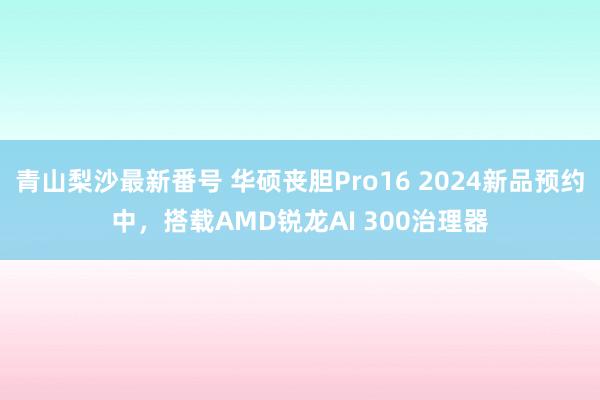 青山梨沙最新番号 华硕丧胆Pro16 2024新品预约中，搭载AMD锐龙AI 300治理器