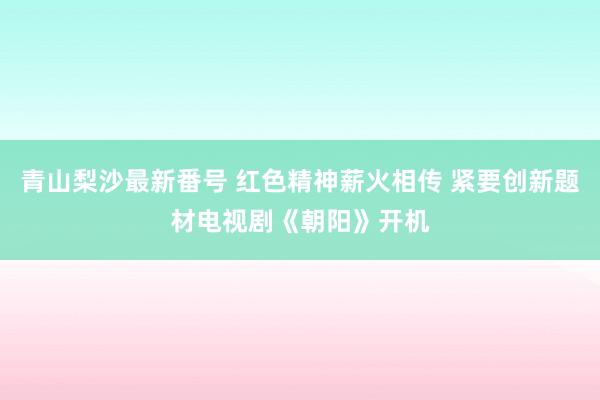 青山梨沙最新番号 红色精神薪火相传 紧要创新题材电视剧《朝阳》开机