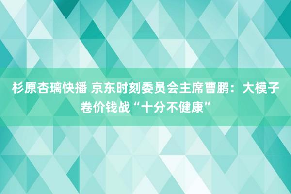 杉原杏璃快播 京东时刻委员会主席曹鹏：大模子卷价钱战“十分不健康”