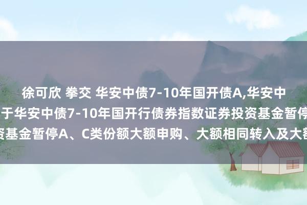 徐可欣 拳交 华安中债7-10年国开债A，华安中债7-10年国开债C: 对于华安中债7-10年国开行债券指数证券投资基金暂停A、C类份额大额申购、大额相同转入及大额如期定额投资的公告