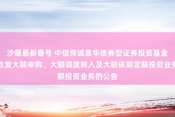 沙羅最新番号 中信保诚景华债券型证券投资基金暂停及收复大额申购、大额调度转入及大额依期定额投资业务的公告