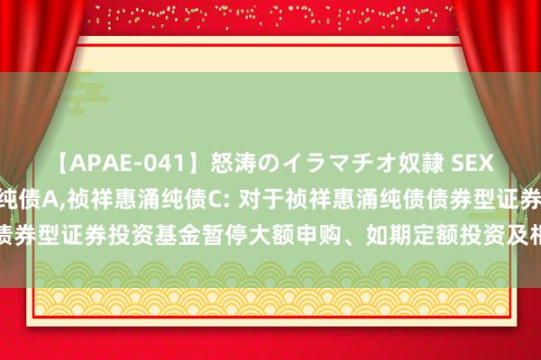 【APAE-041】怒涛のイラマチオ奴隷 SEXコレクション 祯祥惠涌纯债A，祯祥惠涌纯债C: 对于祯祥惠涌纯债债券型证券投资基金暂停大额申购、如期定额投资及相似转入业务的公告