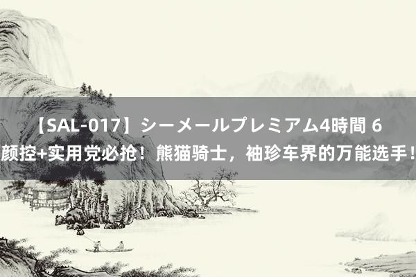 【SAL-017】シーメールプレミアム4時間 6 颜控+实用党必抢！熊猫骑士，袖珍车界的万能选手！