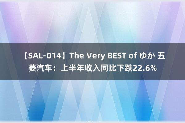 【SAL-014】The Very BEST of ゆか 五菱汽车：上半年收入同比下跌22.6%