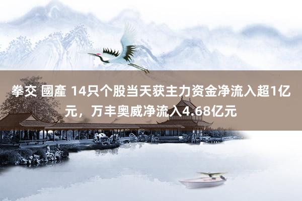 拳交 國產 14只个股当天获主力资金净流入超1亿元，万丰奥威净流入4.68亿元