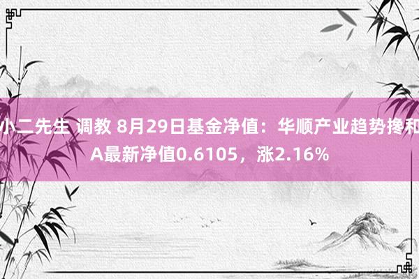 小二先生 调教 8月29日基金净值：华顺产业趋势搀和A最新净值0.6105，涨2.16%