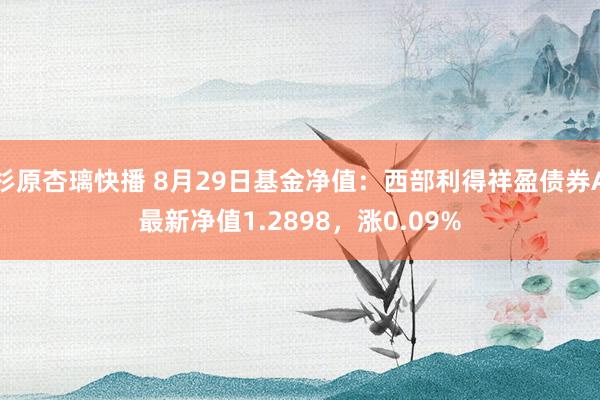 杉原杏璃快播 8月29日基金净值：西部利得祥盈债券A最新净值1.2898，涨0.09%