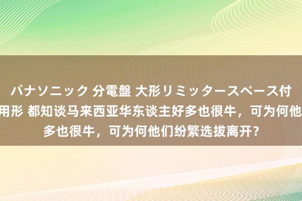 パナソニック 分電盤 大形リミッタースペース付 露出・半埋込両用形 都知谈马来西亚华东谈主好多也很牛，可为何他们纷繁选拔离开？