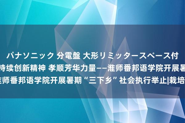 パナソニック 分電盤 大形リミッタースペース付 露出・半埋込両用形 持续创新精神 孝顺芳华力量——淮师番邦语学院开展暑期“三下乡”社会执行举止|栽培|执行团