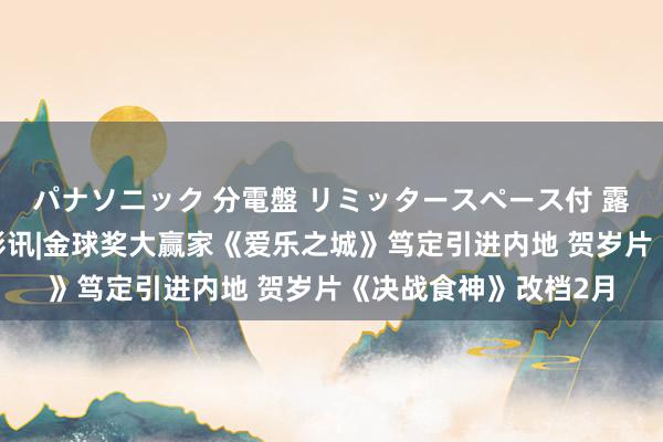 パナソニック 分電盤 リミッタースペース付 露出・半埋込両用形 影讯|金球奖大赢家《爱乐之城》笃定引进内地 贺岁片《决战食神》改档2月