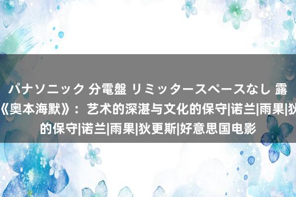 パナソニック 分電盤 リミッタースペースなし 露出・半埋込両用形 《奥本海默》：艺术的深湛与文化的保守|诺兰|雨果|狄更斯|好意思国电影