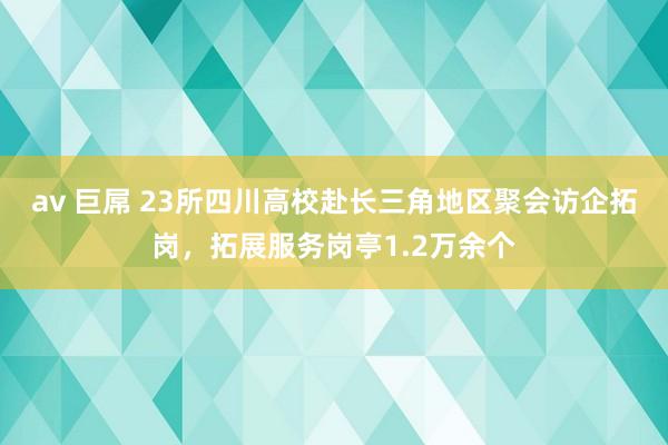 av 巨屌 23所四川高校赴长三角地区聚会访企拓岗，拓展服务岗亭1.2万余个